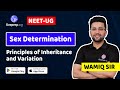 Sex Determination - Principles of Inheritance and Variation by Wamiq Sir