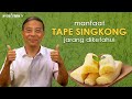 Manfaat TAPE SINGKONG Jarang Diketahui..!!