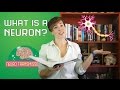 What is a neuron?