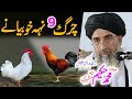 Maulana Hakeem Mazhari Sahib چرگ ۹ خوبیانے