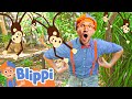 Explore Monkey Jungle Animals with Blippi! | Children's Zoo Adventure | Educational Videos For Kids