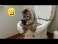 New Funniest Cats and Dogs Clips 2025😼🐶Try Not To Laugh😜 Part 1