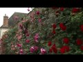 HD demo(True HD 1080p)sony_france