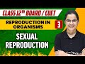 Reproduction in Organisms 03 | Sexual Reproduction | Class 12th/CUET