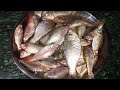 Small Fish Recipe Village Style | छोटी मछली बनाने का बहुत ही आसान तरीका। Small Pothi Fish Fry