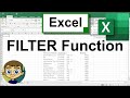 Using the Excel FILTER Function to Create Dynamic Filters