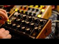 GREEN VALLEY 2022 - Moog Minitaur Analog Bass Monosynth Performance