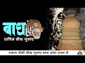 इन गुफाओं को देख अजंता की बौद्ध गुफाएं भी छोटी लगती है | Bagh - मतलब बाघ का रहस्य