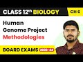 Class 12 Biology Ch 6 | Human Genome Project Methodologies- Molecular Basis of Inheritance 2022-23