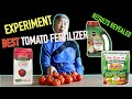 Best Tomato Fertilizer Experiment RESULTS Revealed | Dr. Earth | Miracle Gro | Jobes