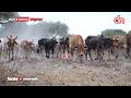 #TAZAMA| WANANCHI KITETO WATEMA CHECHE MGOGORO WA ARDHI, WAMUOMBA RAIS SAMIA AINGILIE KATI