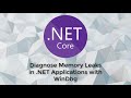 Diagnose Memory Leaks in .NET Applications with WinDbg