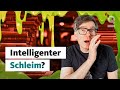 Schlau ohne Hirn – Kann dieser Schleim intelligent sein? | Quarks Dimension Ralph
