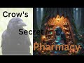 Crow's secret Pharmacy  |  Self Meditation of crow  |  Nature and Science Hindi