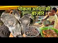 पोकला आदिवासी बाजार | देशी पेरवा जाडा मे पसीना निकाल देगा | Village Tribal Market | Pigeon Recipe
