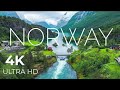 Breathtaking Colors of Nature in 4K III 🐦Beautiful Nature - Sleep Relax Music 4K UHD TV Screensaver