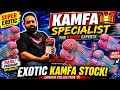 Super Exotic Kamfa Flowerhorn Fish Stock | Red King Aquatic | The Kamfa Specialist