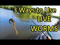 How to Catch a Fish With a Live Worm for Bait - 3 Ways (Beginner Fishing Tips)