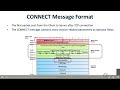 MQTT 1 Message Format