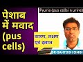 What is Pus cells in Urine (in hindi) | Normal Range |  Pyuria Causes \u0026 Treatment