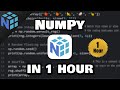 Learn NumPy in 1 hour! 🔢