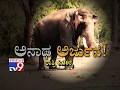 Don't Miss to Watch 'Anatha Arjuna' at 8:30 PM (04-05-2019)
