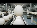 FAKE EGGS Exposed How Factories Make MILLIONS Daily You've Eaten These