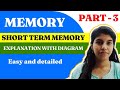 Short term memory | Working memory
