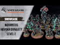 Indomitus Novokh Dynasty Necrons level 2 – Showcase