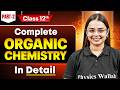 Class 12 Organic Chemistry Complete Revision ( Part -2 ) | Full Board Exam Prep 2026 | Shourya Ma'am