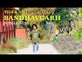 Epic tiger sighting at Bandhavgarh forest stay. Tiger hunted Gaur in resort | Stay inside tiger zone
