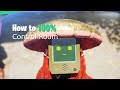 Stray - How to 100% the Control Room