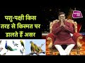 पशु-पक्षी किस तरह से किस्मत पर असर डालते हैं | Shailendra Pandey| Astro Tak