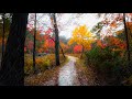 Rainy Autumn Forest Walk 🌧️🍂 - New England (4K) | Binaural Audio (Rain Sounds for Sleep \u0026 Study)