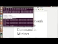 Mininet custom topology