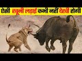 जब शिकारी पर भारी पड़ा शिकार | 10 Moments When Predators Failed  ! Moments ।