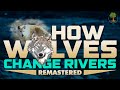 How Wolves Change Rivers [REMASTERED HD] - George Monbiot