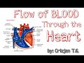 EXPLANATION ON HOW BLOOD FLOWS THROUGH THE HEART in 2 minutes by Crizjan T.G.