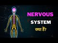 What is Nervous System? – [Hindi] – Quick Support