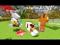 Minecraft Trolling HACKER /KILL GLITCH!