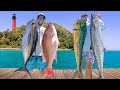 2 Days Chasing Every Fish in Florida! Catch Clean \u0026 Cook