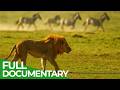 Wild Instinct - Fear on the Savannah | Free Documentary Nature
