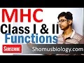 MHC class 1 and 2 | Major histocompatibility complex