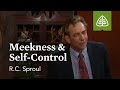 Meekness and Self-Control: Developing Christian Character with R.C. Sproul