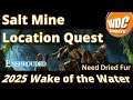 Part 9 Enshrouded Wake of the Water The Salt Mine