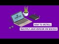 How to install multiple Java version on MacOSX