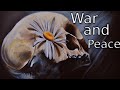 War and Peace - Videobook Part 2/6 🎧 Audiobook with Scrolling Text 📖