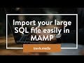 How to import Large SQL database easily in MAMP phpMyAdmin