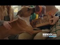 BarkBox TV Commercial