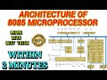 Architecture of 8085 Microprocessor for exam |BLUE BOX EDUCATION |